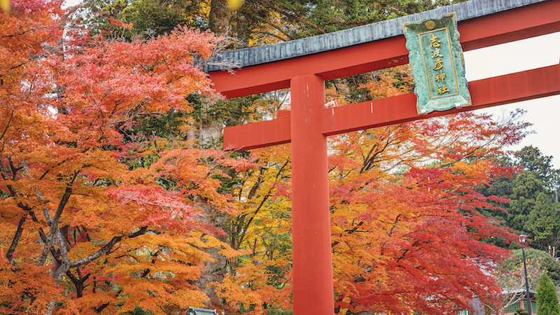 志波彦神社・鹽竈神社の紅葉